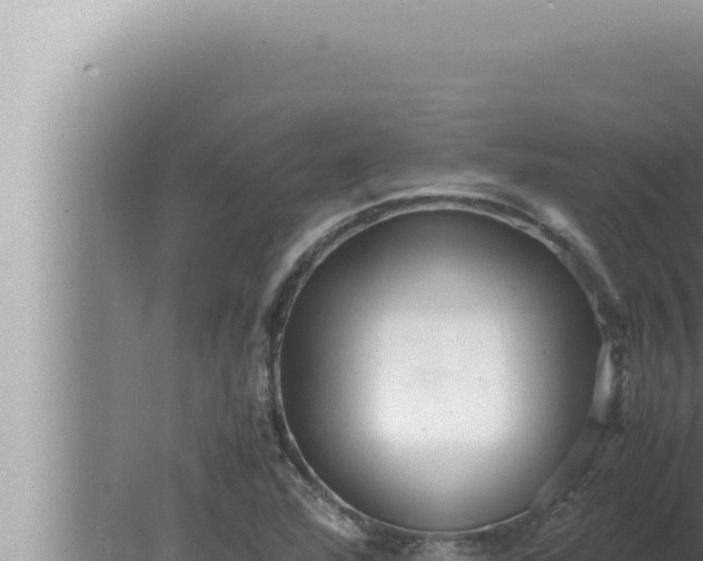 X0000080111360200612221754