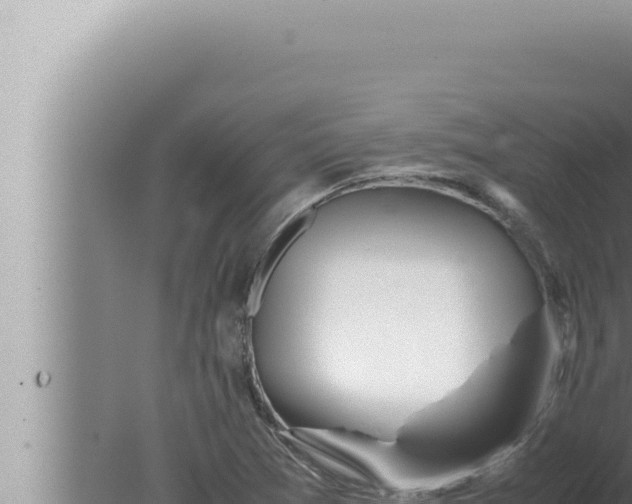 X0000080111361200612221754