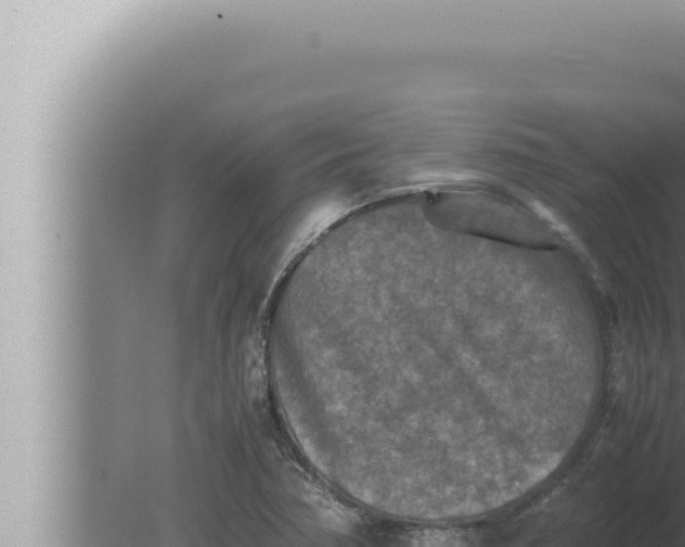 X0000080111362200612221754