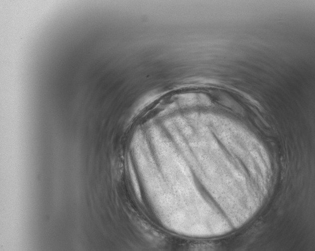 X0000080111363200612221754