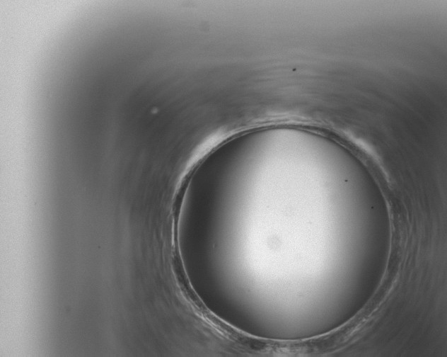 X0000080111365200612221754