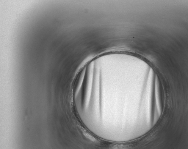 X0000080111366200612221754