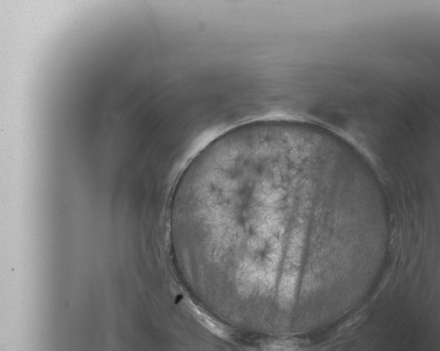 X0000080111367200612221754