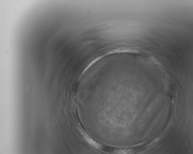 X0000080111369200612221754