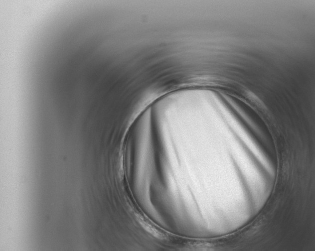 X0000080111370200612221753