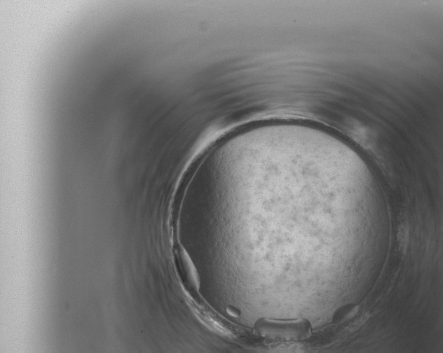 X0000080111372200612221753