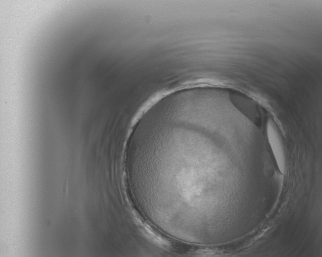 X0000080111373200612221753