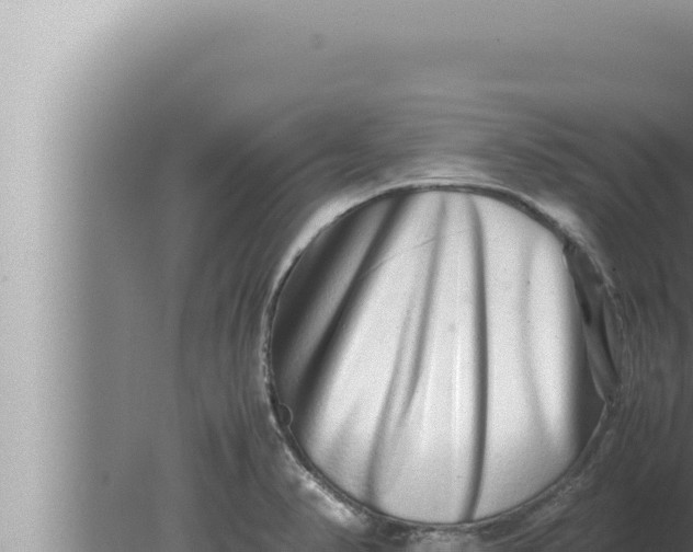 X0000080111374200612221753