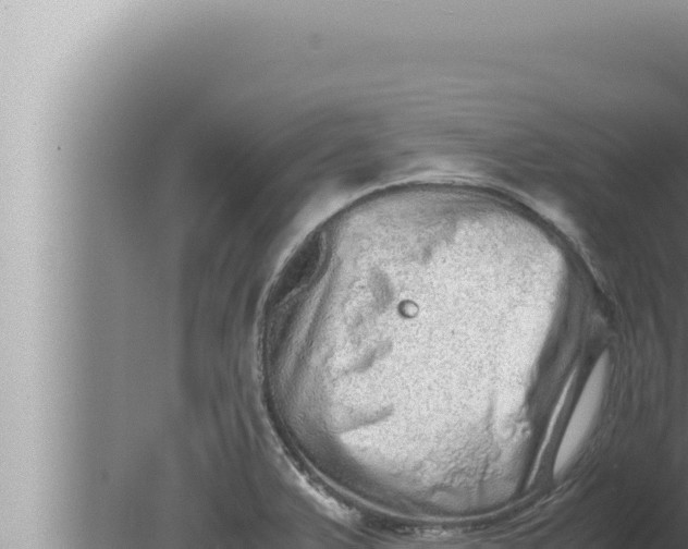 X0000080111375200612221753