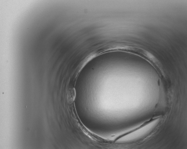 X0000080111377200612221753