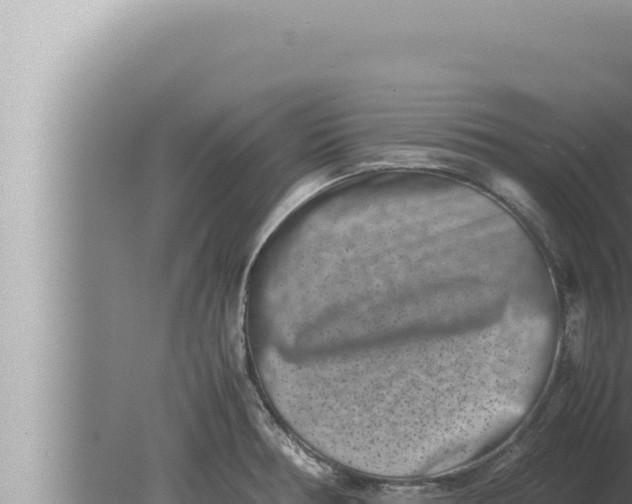 X0000080111378200612221753