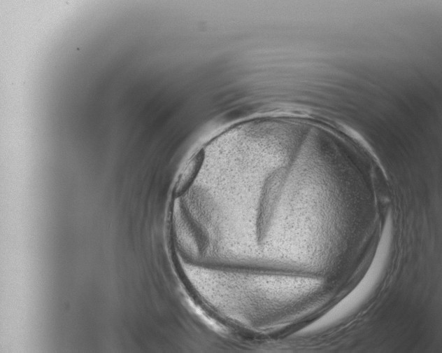 X0000080111379200612221753