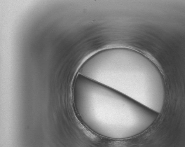 X0000080111380200612221753