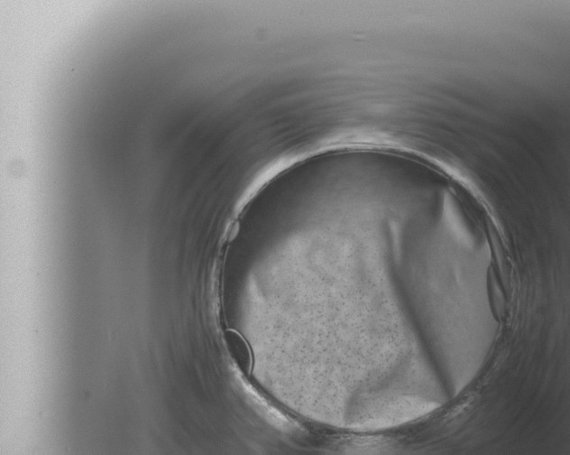 X0000080111382200612221753