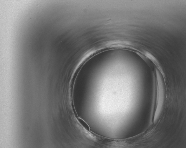 X0000080111384200612221753