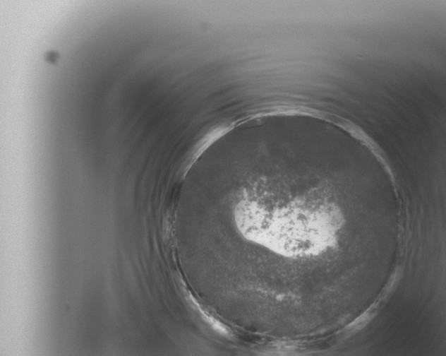 X0000080111385200612221753