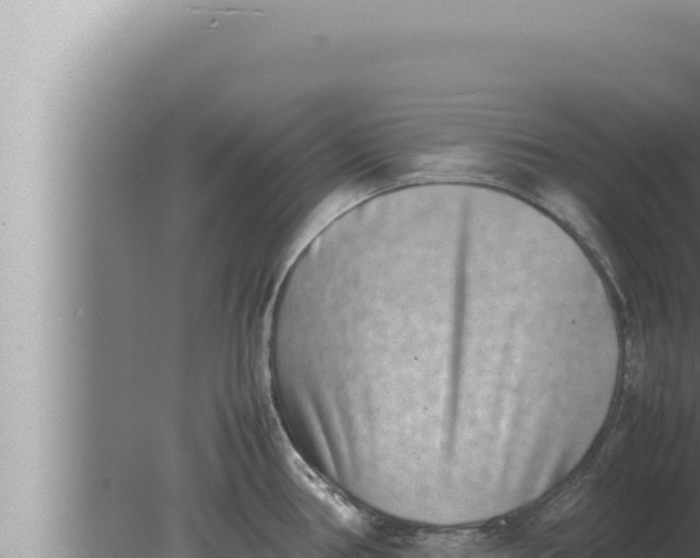 X0000080111386200612221753