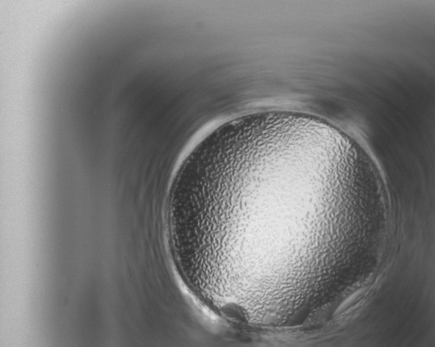 X0000080111389200612221753