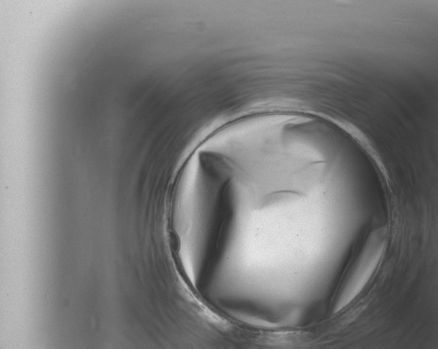 X0000080111390200612221753