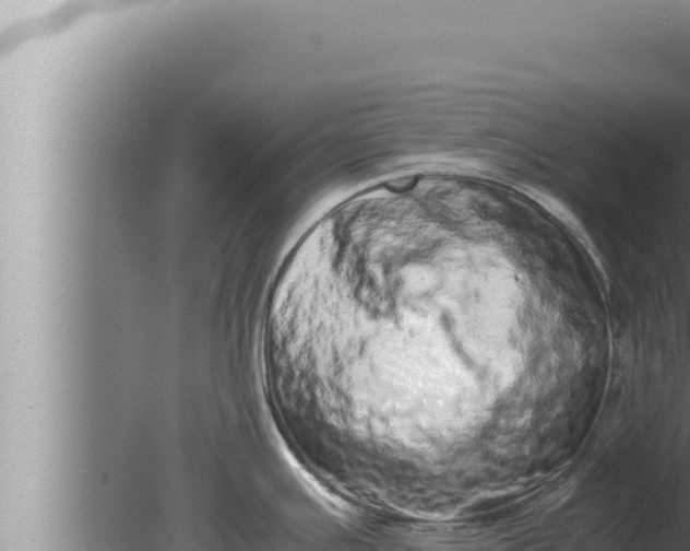 X0000080111391200612221753