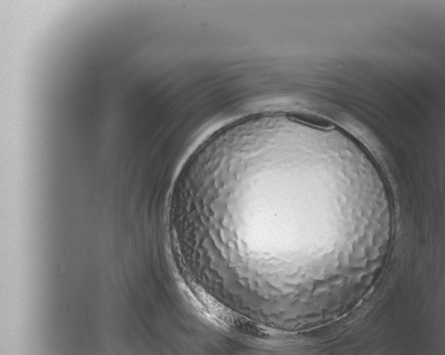 X0000080111392200612221753