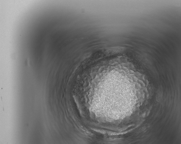 X0000080111393200612221752