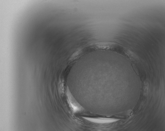 X0000080111394200612221752