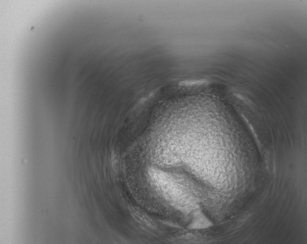 X0000080111395200612221752