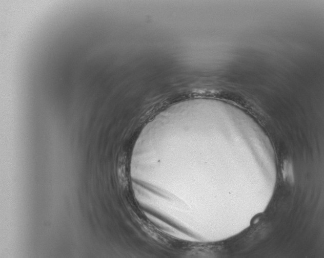 X0000080111396200612221752