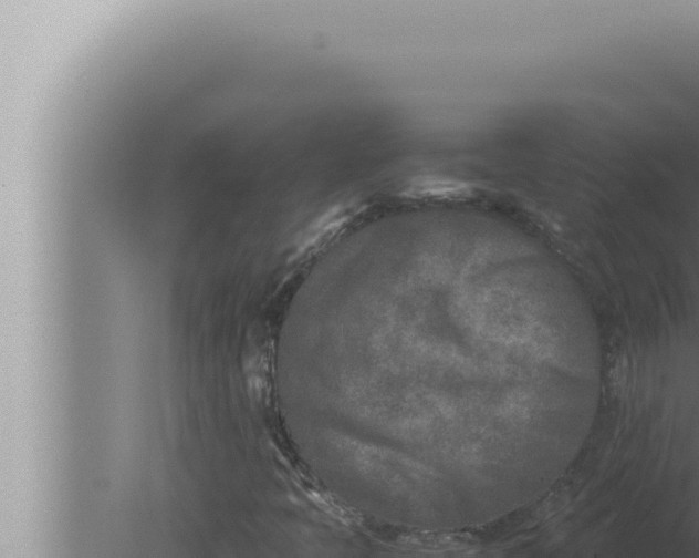 X0000080111397200612221752