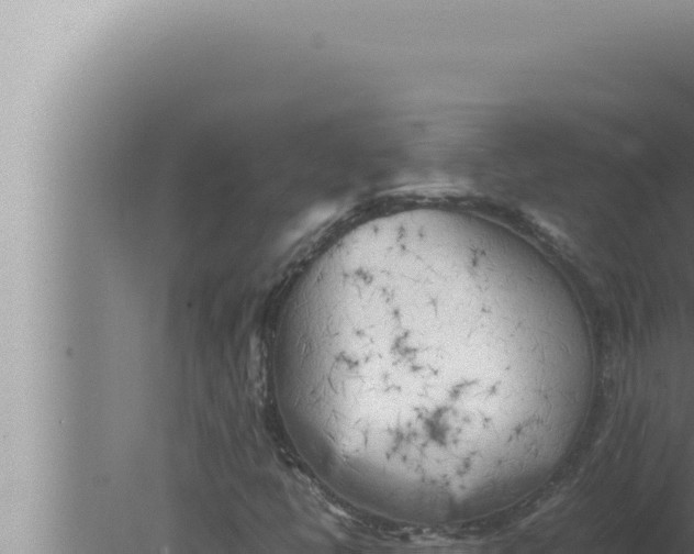 X0000080111398200612221752