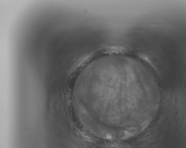 X0000080111399200612221752