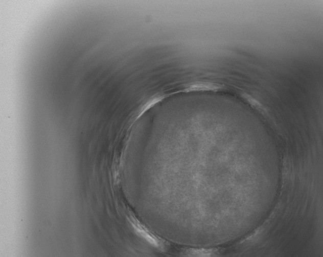 X0000080111401200612221752