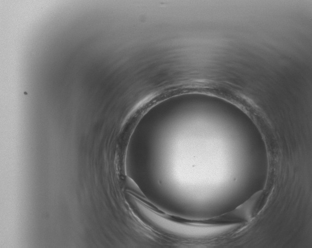 X0000080111402200612221752