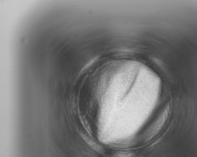 X0000080111403200612221752