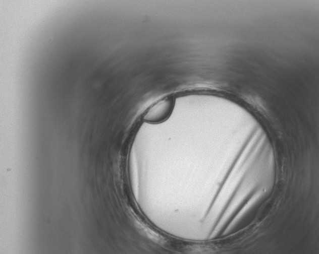 X0000080111404200612221752