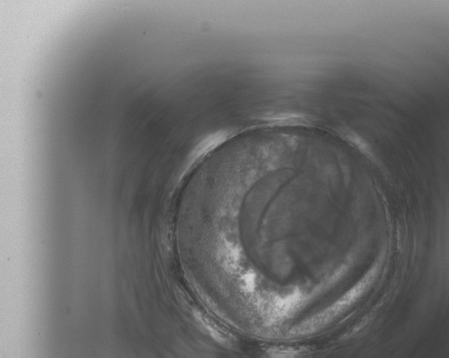 X0000080111405200612221753