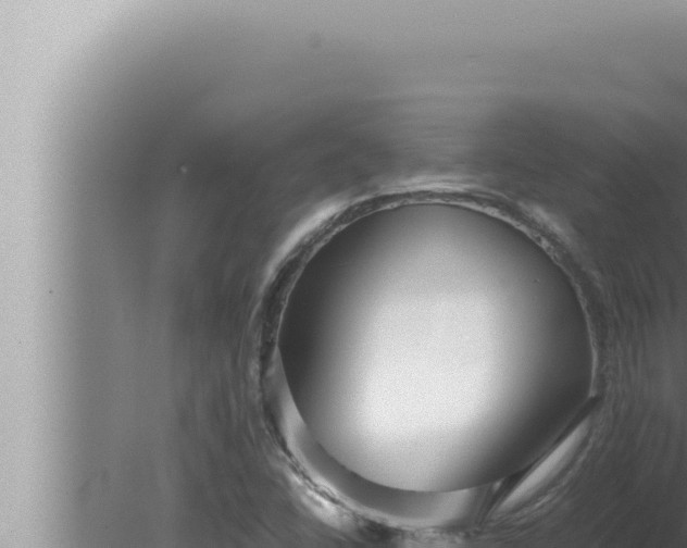 X0000080111406200612221753