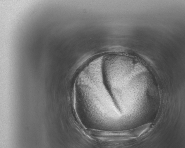 X0000080111407200612221753