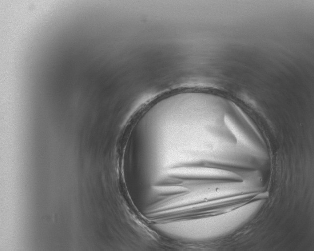 X0000080111408200612221753