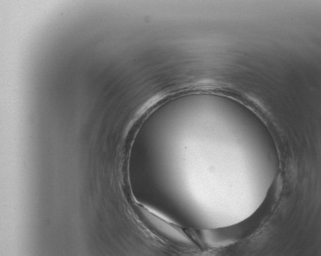 X0000080111410200612221753