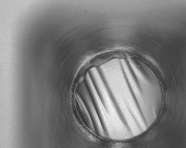 X0000080111412200612221753