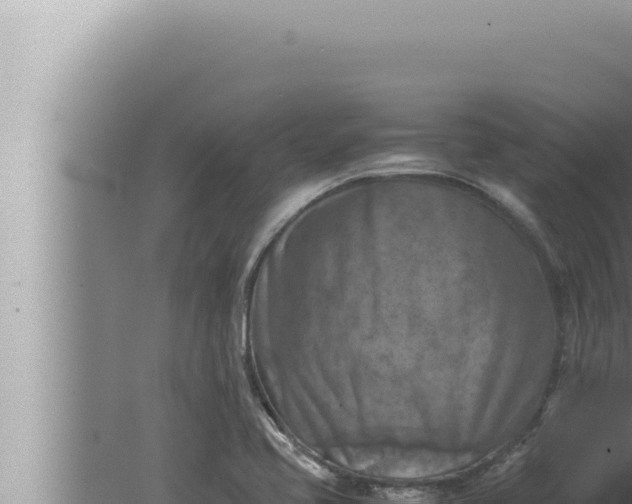 X0000080111413200612221753