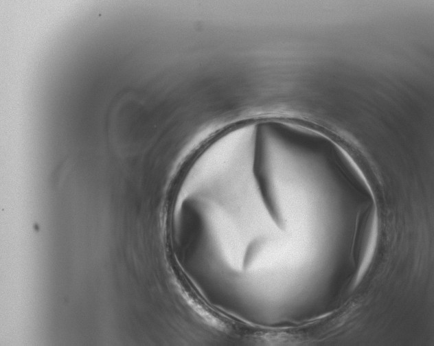 X0000080111416200612221753