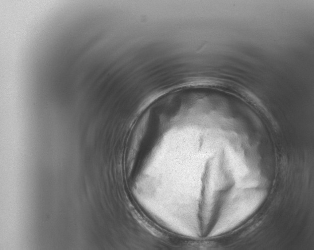 X0000080111417200612221753