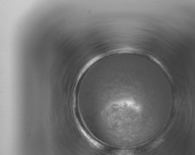 X0000080111418200612221753