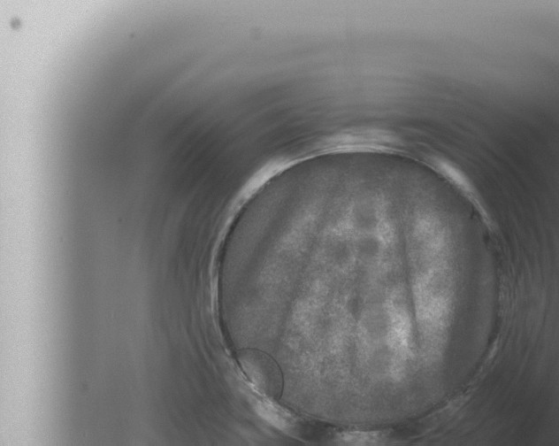 X0000080111419200612221753