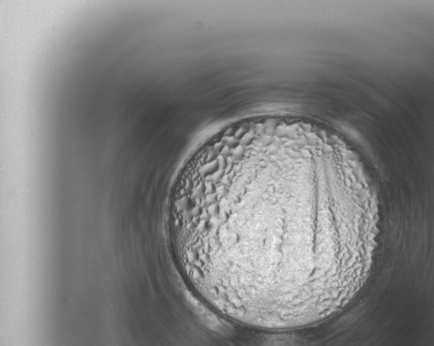 X0000080111421200612221753