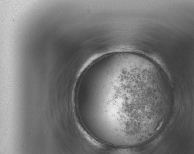 X0000080111422200612221753