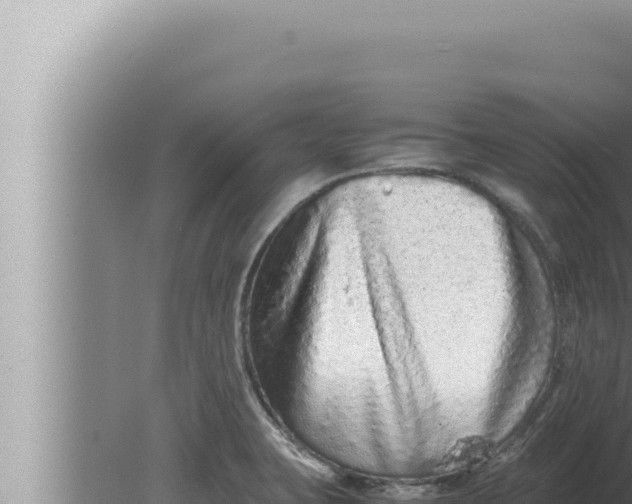 X0000080111423200612221753